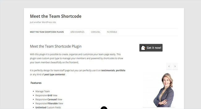 Wordpress Meet the Team Shortcode Plugin