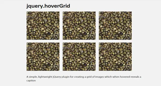 hoverGrid - simple, lightweight jQuery hover plugin for image grid
