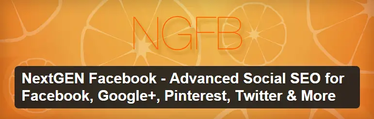 NGFB - Advanced Social SEO for WordPress Site