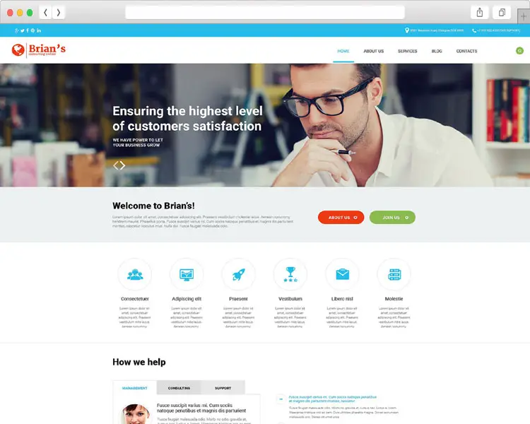 Brian’s - Consulting Agency WordPress Theme
