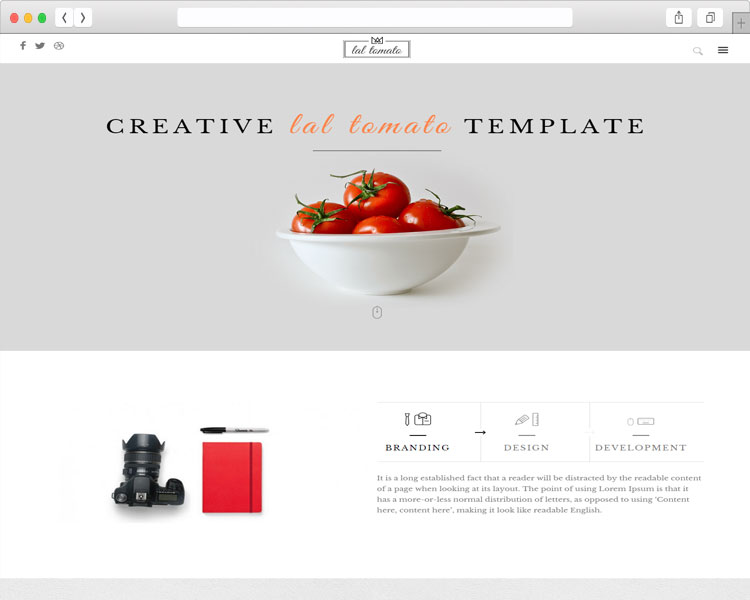 Lal Tomato - Flat Design Responsive Multi-Purpose Theme