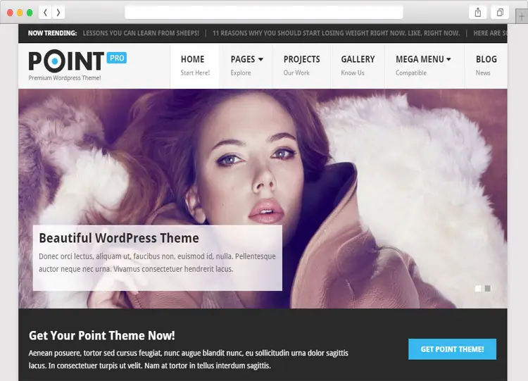 PointPro - Professional Multiple WordPress Theme