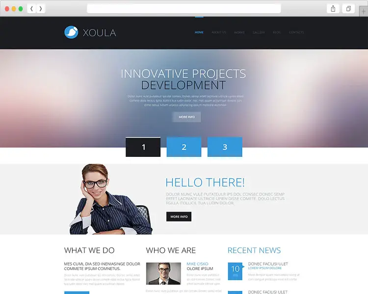 Xoula - Consulting Responsive WordPress Theme
