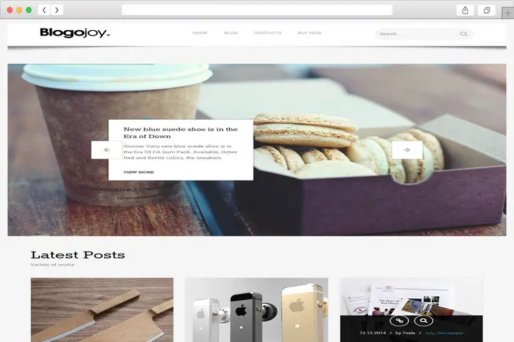 BLOGOJOY – Minimalist Responsive Blog Theme for WordPress