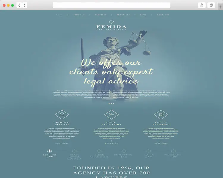 Femida - Lawyer Agency WordPress Theme