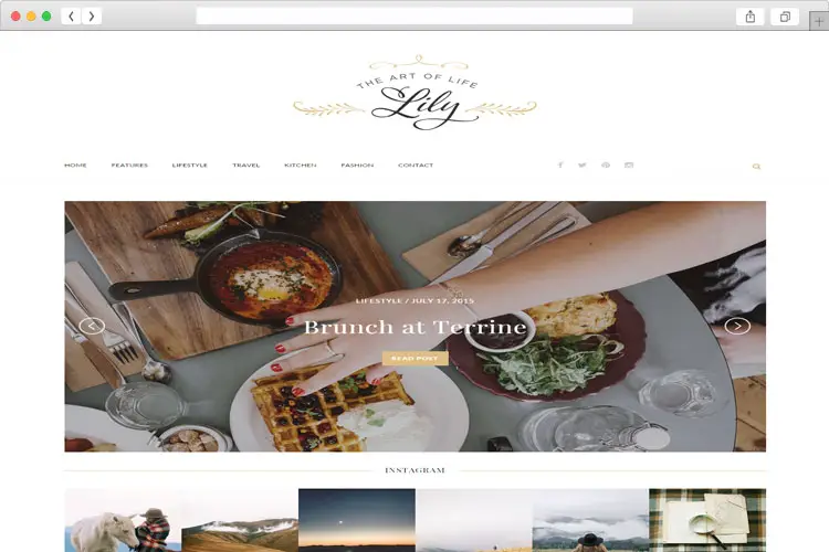 Lily - An Elegant and Clean WordPress Blog Theme