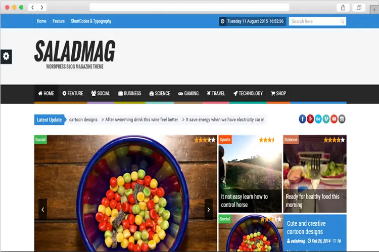 SaladMag - Fully Responsive & Clean WordPress Magazine Theme