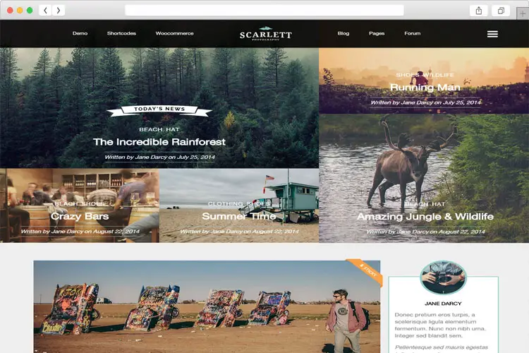 Scarlett - Creative Blog & Ecommerce WordPress Theme