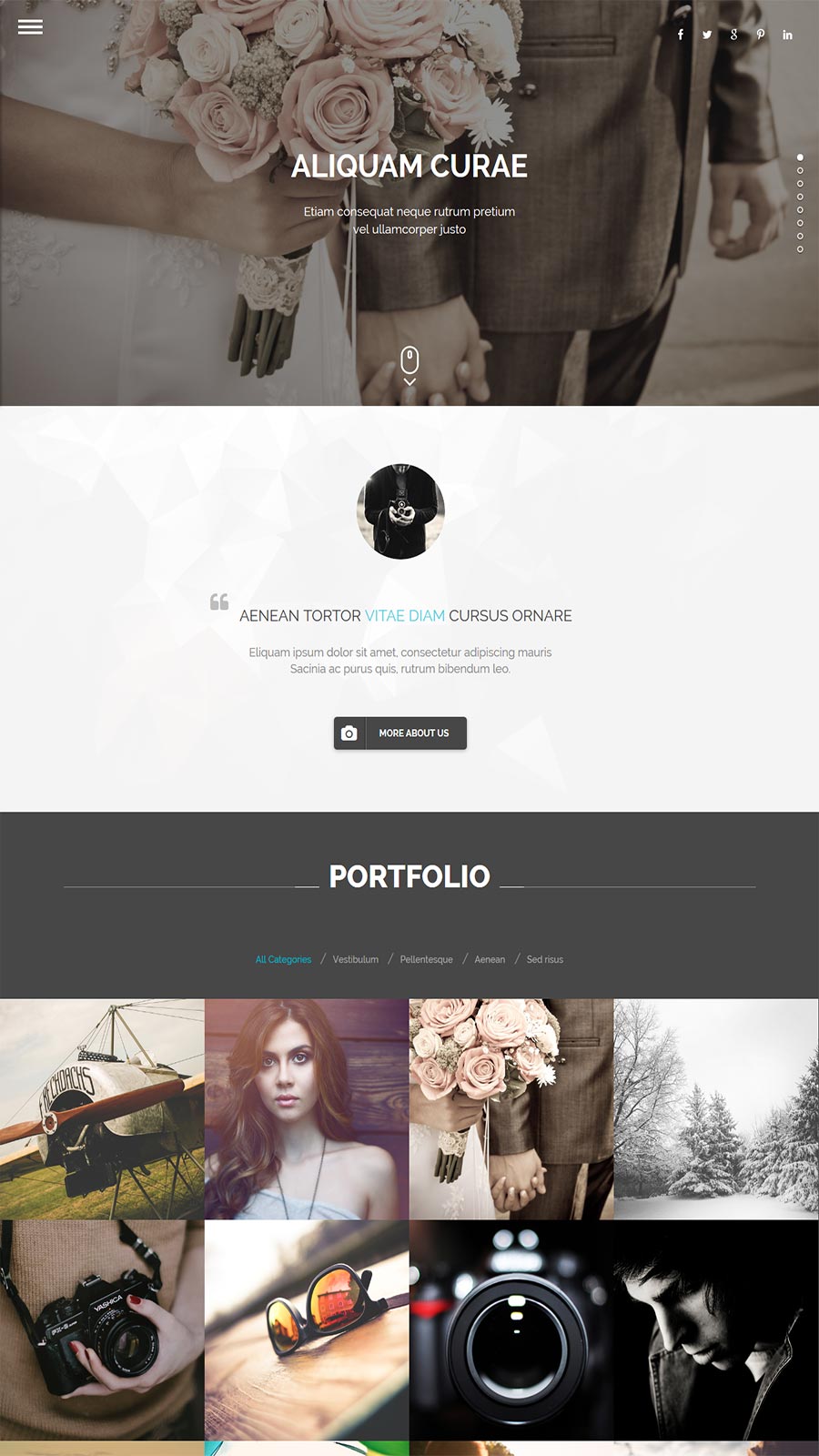 Wizard - Portfolio Fullpage WordPress Theme