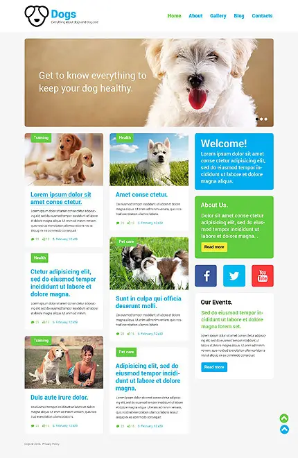 WordPress Theme to Build a Pets Site