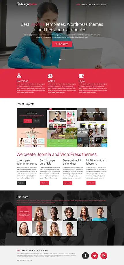 WordPress Theme for a Design Studio