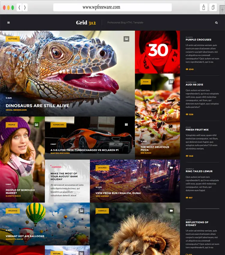 Grid312 - Stylelish Blog HTML5 Template