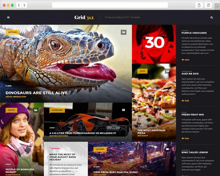 Grid312 - Creative Design Blog HTML Template