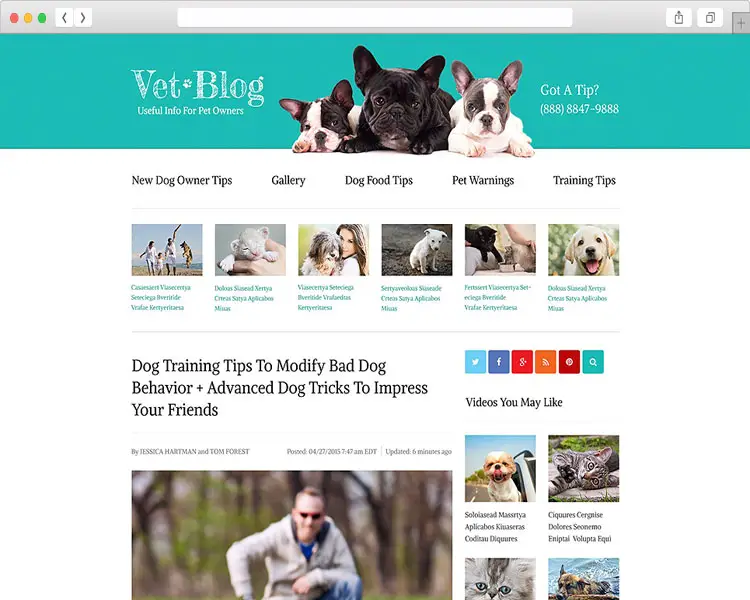 Vet Blog
