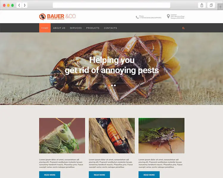 Bauer&Co 