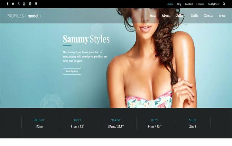 Profiles - Flexible WordPress Theme for self promotion