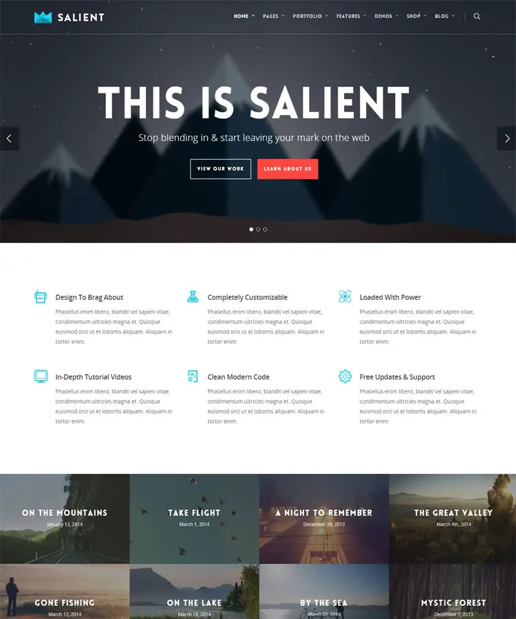 Salient - Responsive and Retina Ready wordPress Theme
