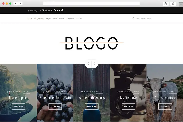 Blogo - Multiple Layout WordPress Blog Theme