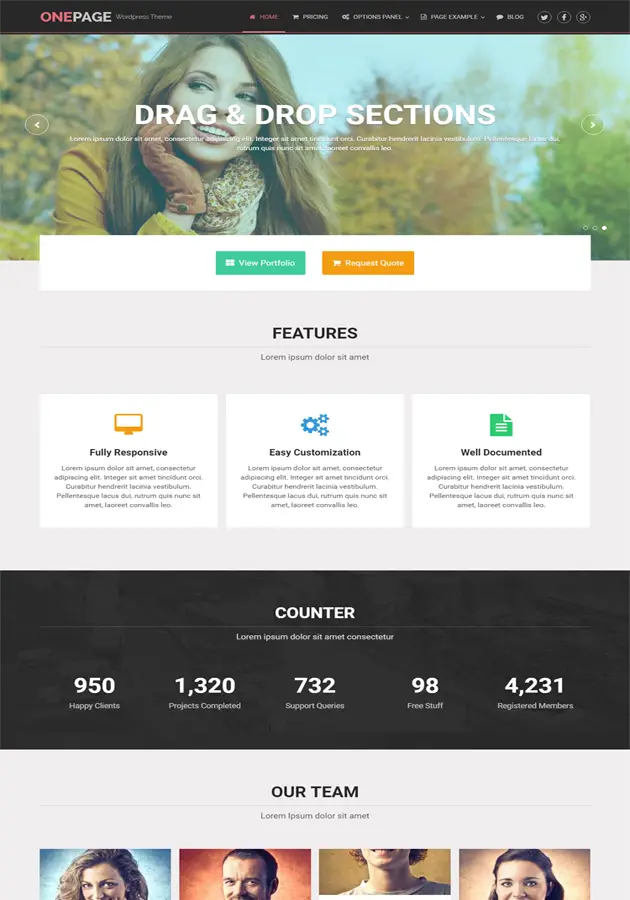 OnePage