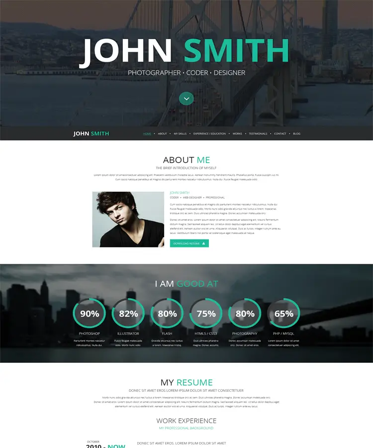 Online CV