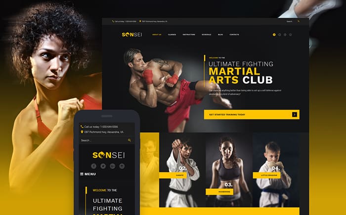 Sensei Club WordPress Theme