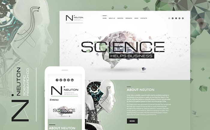 Neuton Responsive WordPress Theme
