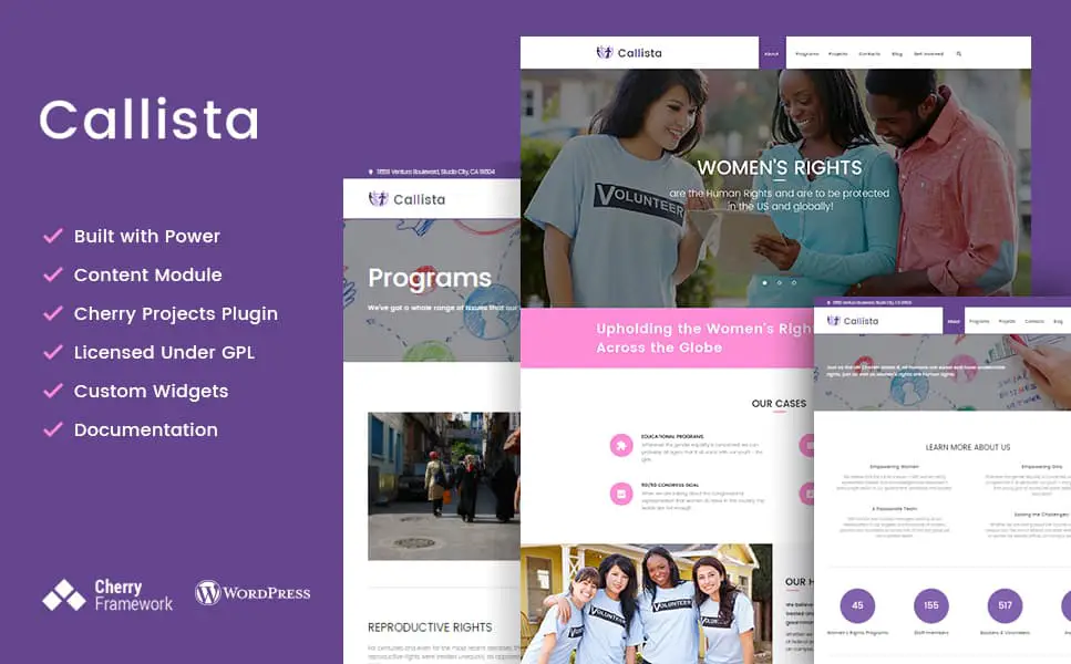 & Non-profit WordPress Theme