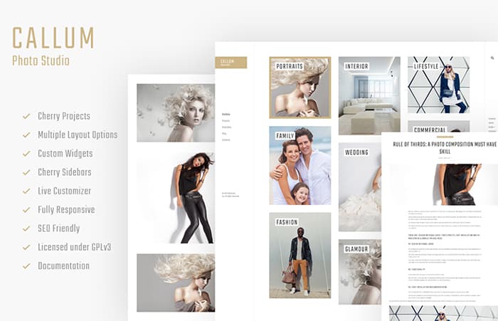 Online Portfolio WordPress Theme 