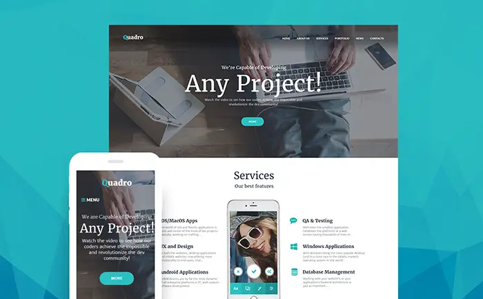 Software WP Theme