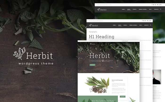 Medical WordPress Template 