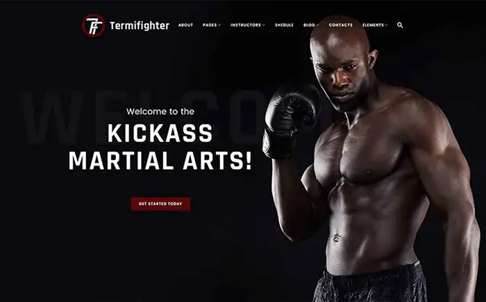 Mma WP Theme 