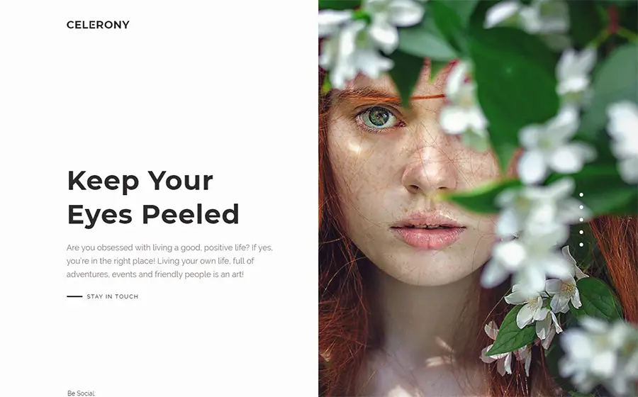 Celerony - Creative Splitscreen Elementor WordPress Theme