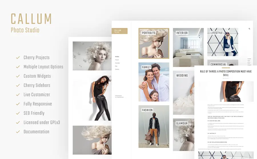 Online Portfolio WordPress Theme