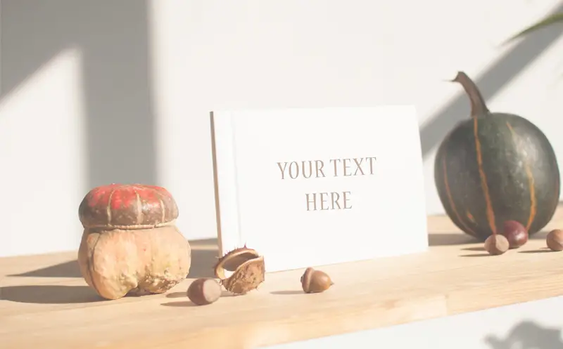 Autumn Journey Mockups & Photos Bundle Product Mockup