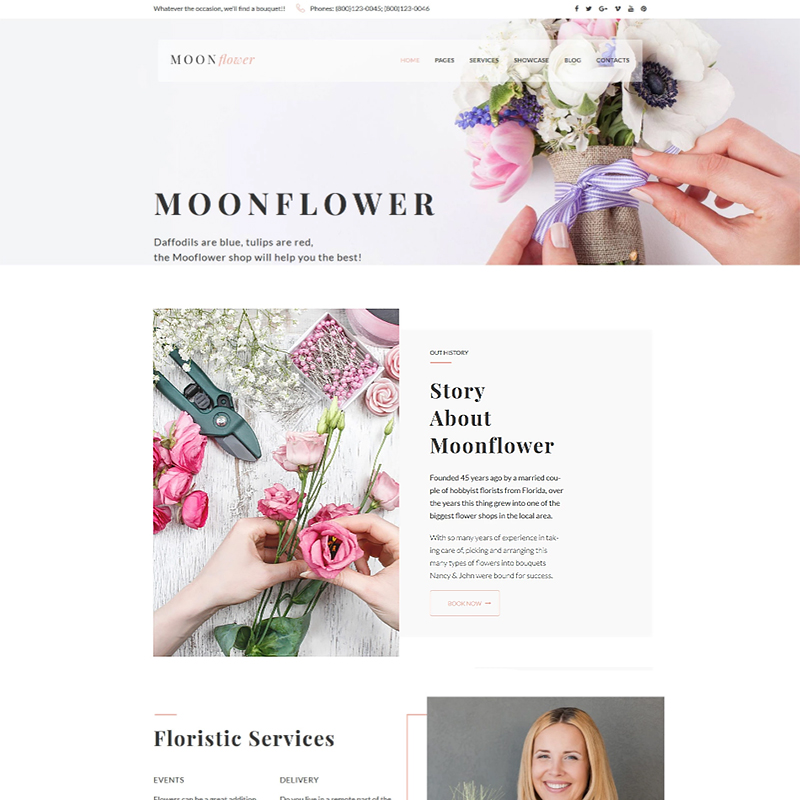 | Wordpress Best Theme