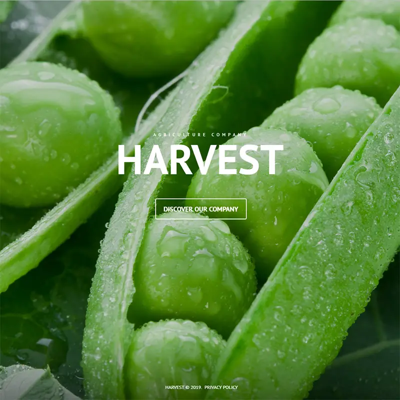 Agriculture WordPress Template    