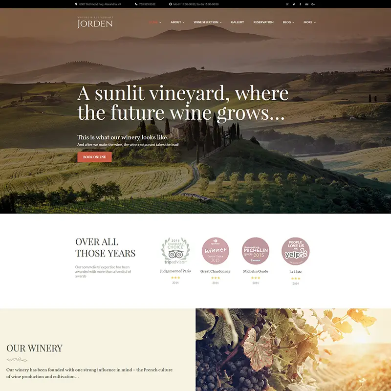 Wine WordPress Theme    