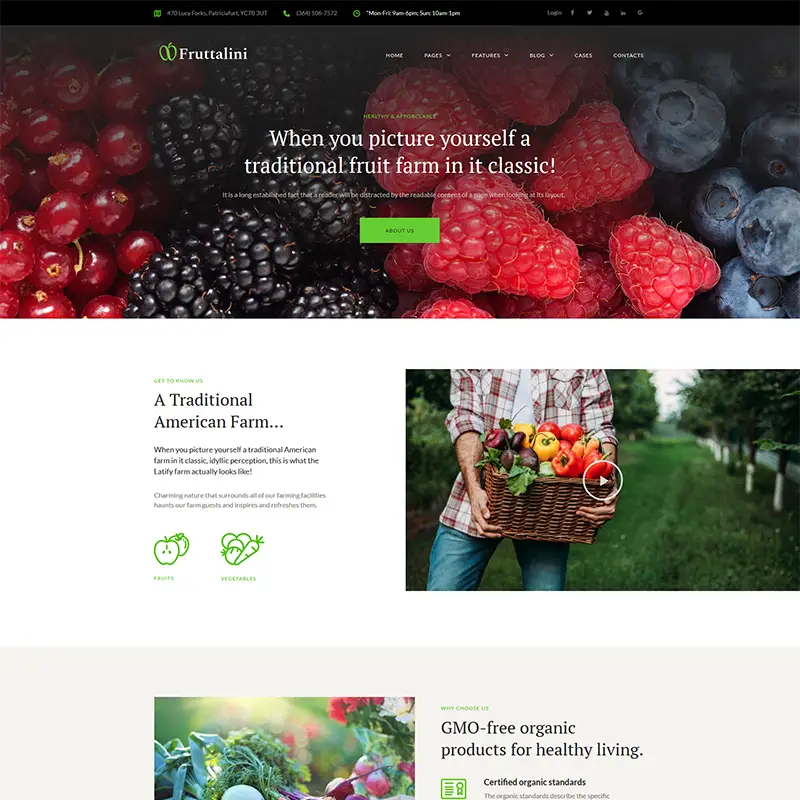 Fruttalini - Organic Fruit Farm Responsive WordPress Theme