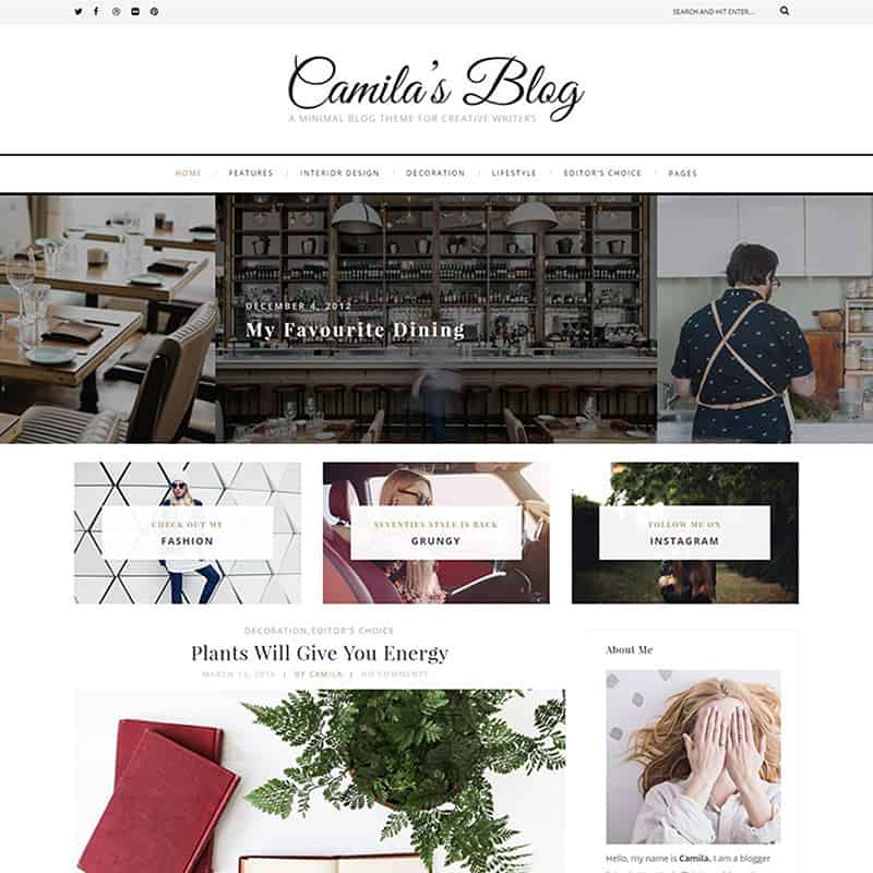 Camila - Minimal Blog WordPress Theme