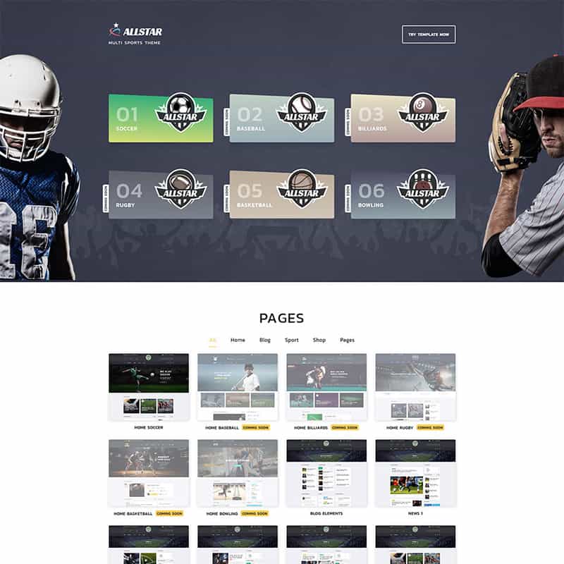 Multi Sports Theme