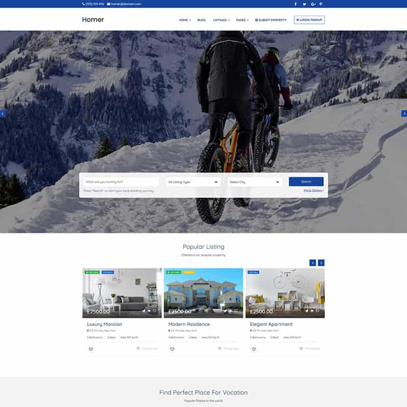 Homer - Booking Website Template