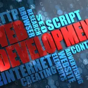 wed development and other terminologies